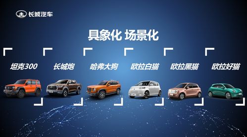 傅小康談長城汽車品牌增肌 一場由內(nèi)而外的自我革命